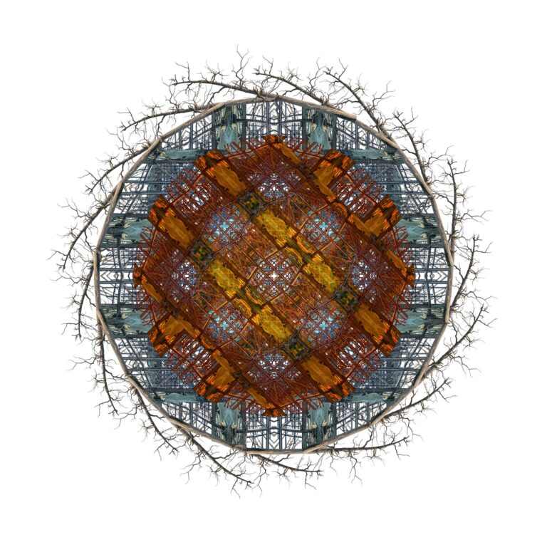 Entropic mandalas 3